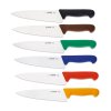 [Sada] Sada nožů HACCP 200 mm | GIESSER