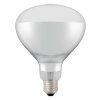 919200 shatterproof bulb white 02