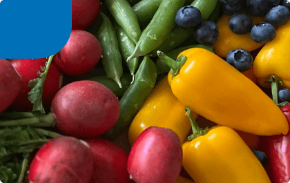 Vsaďte na vakuování potravin a prodlužte až 5× jejich trvanlivost