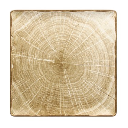 82910 rak woodart talir ctvercovy 30 30 cm mechove zelena rak porcelain wdedsq30mg 6