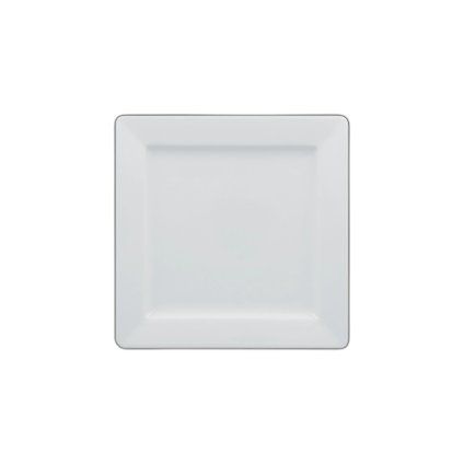 83018 16170 rak assp21 12