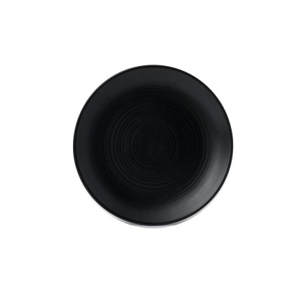 140555 kulaty melky kotouc 295 mm dudson evo jet