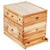 us%2FCTFXSMSHX1ZHAS36XV0%2Fgoods img v5%2Fbee hive m100 11