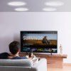 us%2FDPXDYSQ8YCSZTSBN5V9%2Fgoods img v2%2Fceiling speaker m100 1.12