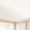 us%2FTHBZPVCFPB1010YENV0%2Fgoods img v1%2Fceiling tiles m100 1.12