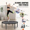 505133 5 us 2fyxjsbc36ycbd7mnvkv0 2fgoods img v1 2ffitness trampoline f5
