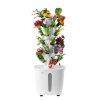 us%2FTSSPZZXT20LW7KX24V2%2Fgoods img v1%2Fhydroponics tower m100 11