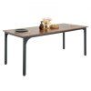 us%2FZFXCZBKTZMDB9HNXPV0%2Fgoods img v3%2Fdining table m100 11