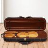 us%2FXTQHZFXNLPMXVK7D4001V0%2Fgoods img v2%2Fviolin case m100 1.12