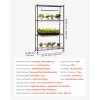 522284 6 us 2fzwpyjwfjgn35g5qpe001v2 2fgoods img v1 2fplant shelf with grow light eu f6