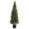 us%2FXSRGXJS48YCXNM7Y5001V0%2Fgoods img v3%2Fartificial topiaries m100 9