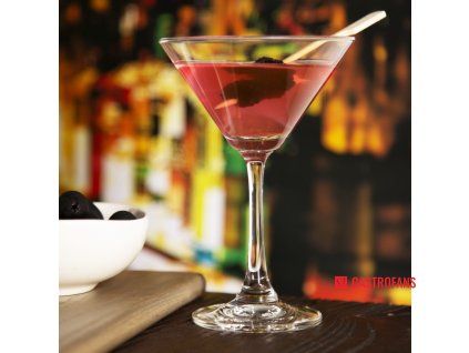 download?url=%2fasset%2fcore%2fprodimage%2flargezoom%2fcz008 cocktailmartini6