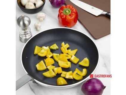 download?url=%2fasset%2fcore%2fprodimage%2flargezoom%2fs346 fryingpan5