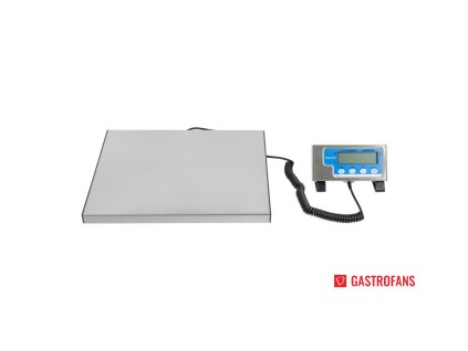 Salter stolní váha 60kg Salter