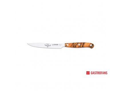 88866 nuz steak 12 cm giesser messer premiumcut spicy orange