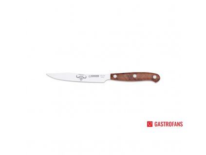 88869 nuz steak 12 cm giesser messer premiumcut thuja