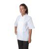 download?url=%2fasset%2fcore%2fprodimage%2flargezoom%2fb250 chefjacket6