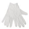 download?url=%2fasset%2fcore%2fprodimage%2flargezoom%2fa545 a546 waiting gloves