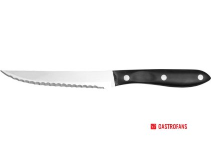 Sada na steaky - vidlička a nôž, HENDI, sada noža s vidličkou, nôž so zúbkami, rukoväť z materiálu POM, (L)mm