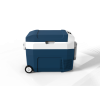 283411 2 icb4510 2