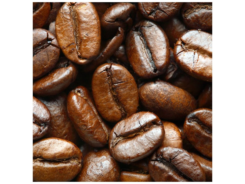Gastro Cafe 100% Arabica 1kg zrnková