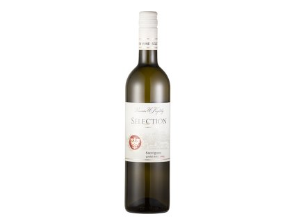 Sauvignon pozdní sběr 2024 polosuché 12,5% 0,75l Selection Vinařství U Kapličky