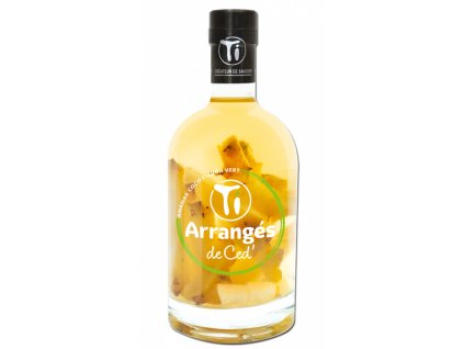 07a83903d2a766bb9c6b5db38c7e067e ti rhum arranges pineapple lime coco