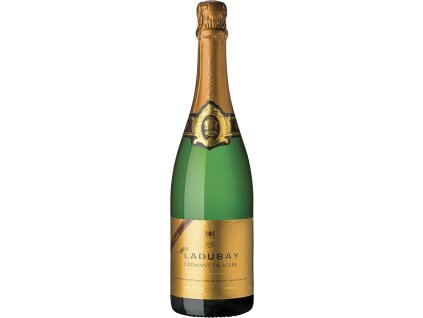 15337 removebg preview