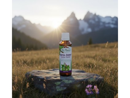 topolgemini generated image vqwixrvqwixrvqwi