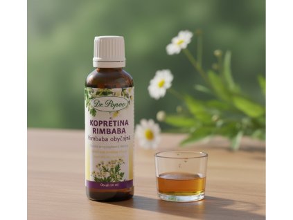 kopretinagemini generated image bauhcvbauhcvbauh 2