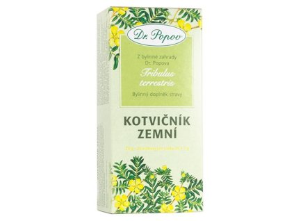 byliny porc kotvicnik