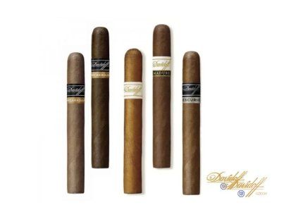 DOUTNÍK Davidoff Primeros Escurio 1ks