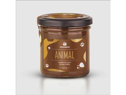 dz0019 animal
