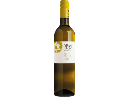 96 VIGB0006