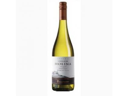 Castillo de Molina Chardonnay Reserva  0,75 l