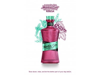 Mintis Gin Ribesa