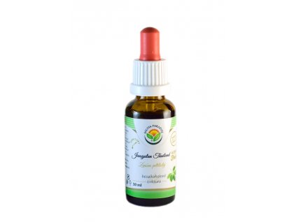 jiaogulan tinktura 30 ml custom