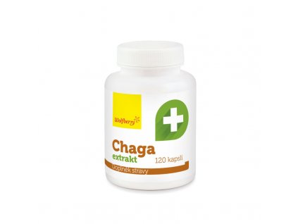 chaga extrakt kapsle 120 ks wolfberry