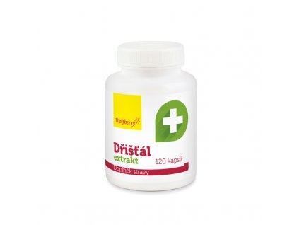 dristal extrakt kapsle 120 ks wolfberry