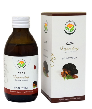 Salvia Paradise Čaga – rezavec šikmý DS sirup 180 ml