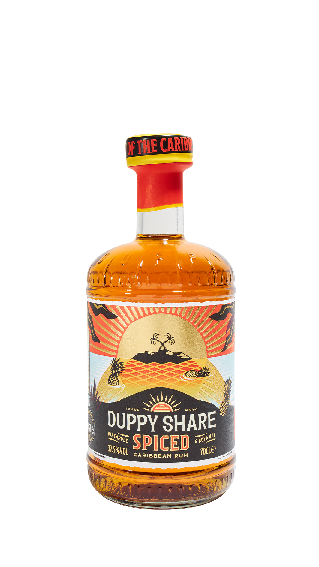 The Duppy Share Spiced 37,5% 0,7 l (holá láhev)