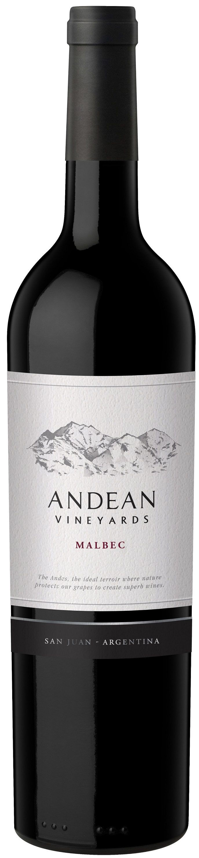 Andean Malbec 0,75 l Andean Vineyards