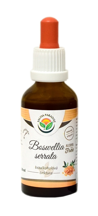 Boswellia serrata - kadidlovník AF tinktura 50 ml Salvia Paradise