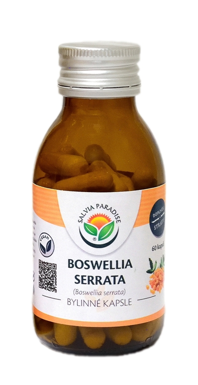 Boswellia serrata - kadidlovník kapsle 60 ks Salvia Paradise