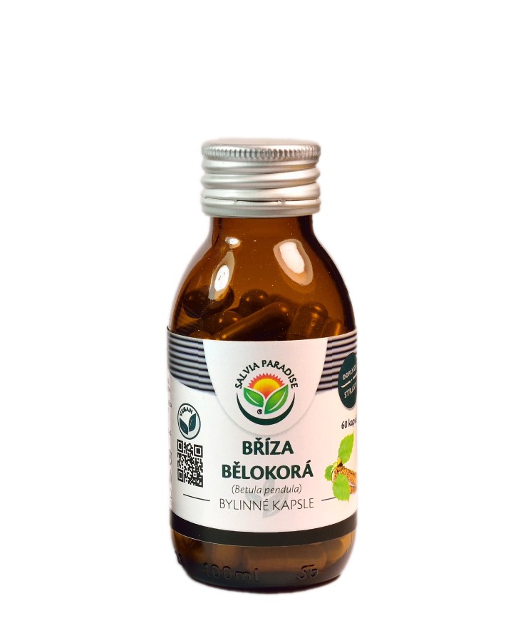 Bříza bělokorá kapsle 60ks Salvia Paradise