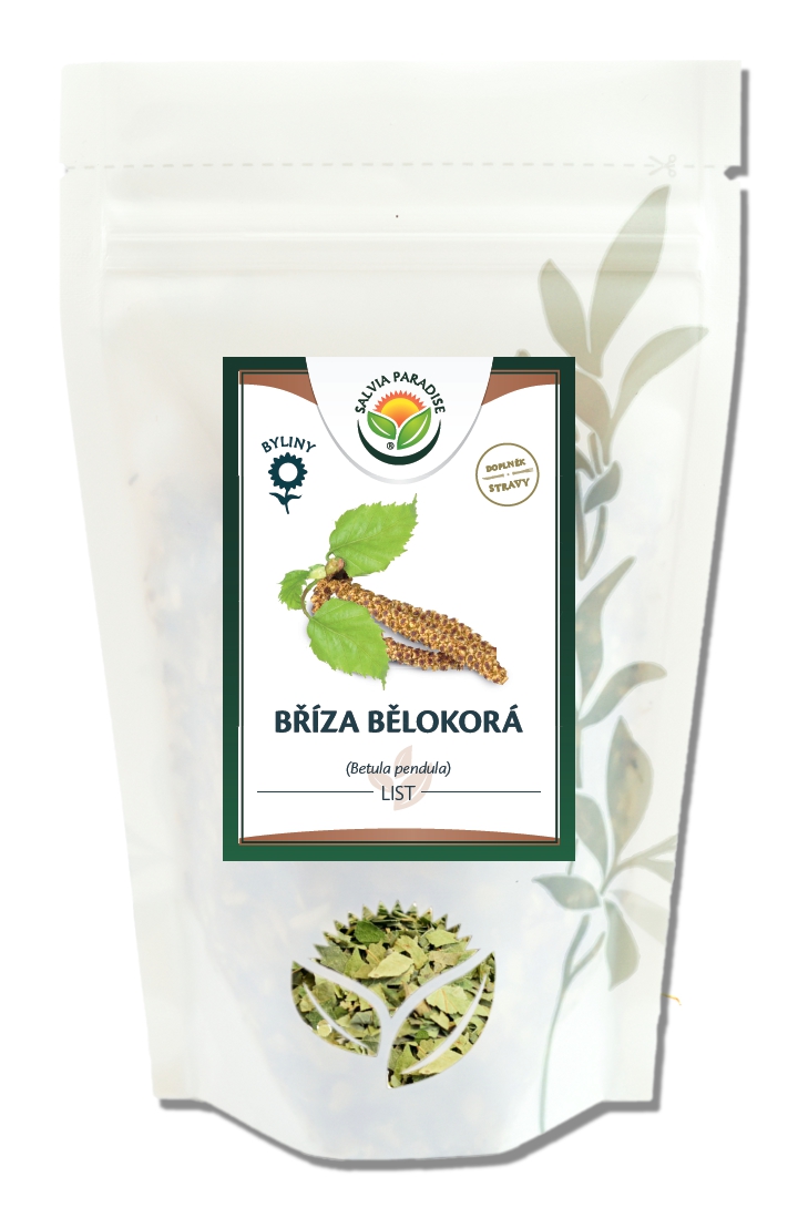 Bříza bělokorá list 30g Salvia Paradise