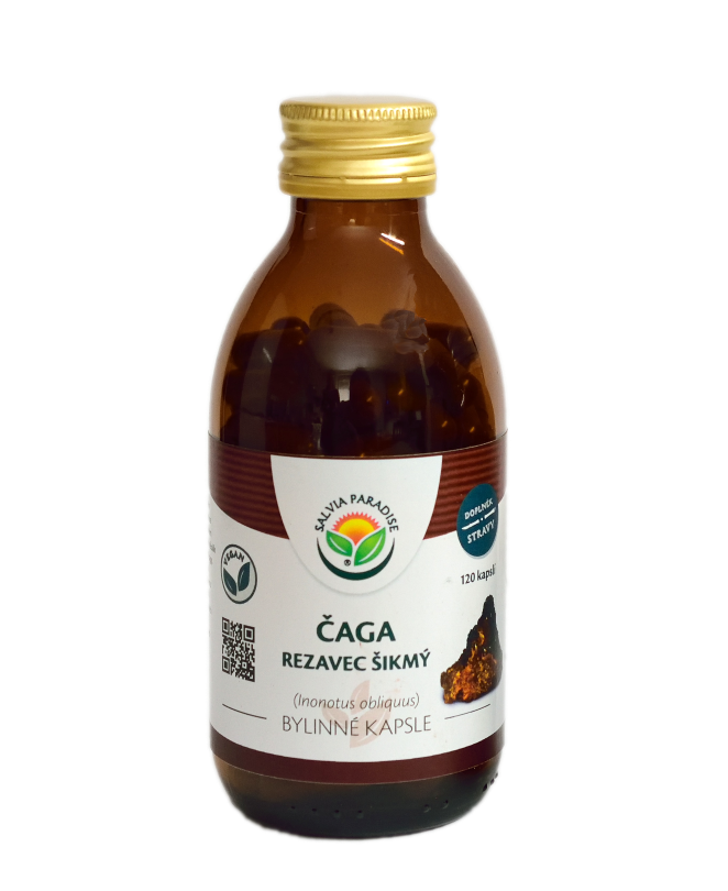 Čaga - rezavec šikmý - kapsle 120 ks Salvia Paradise