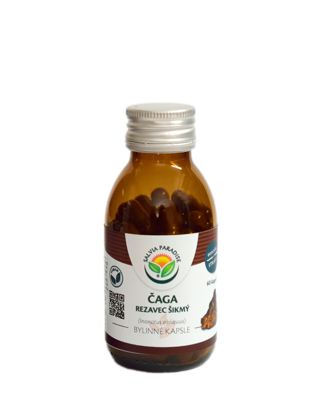 Čaga - rezavec šikmý - kapsle 60 ks Salvia Paradise