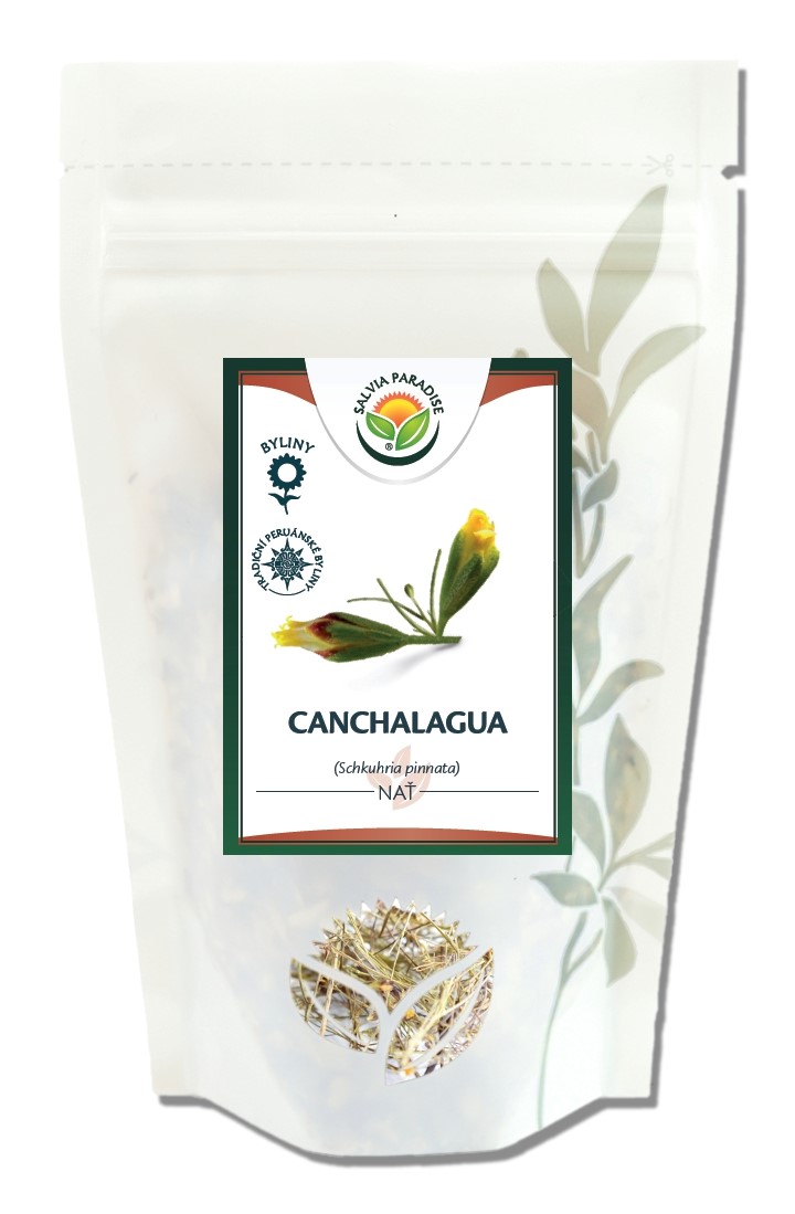 Canchalagua - nať 1kg Salvia Paradise