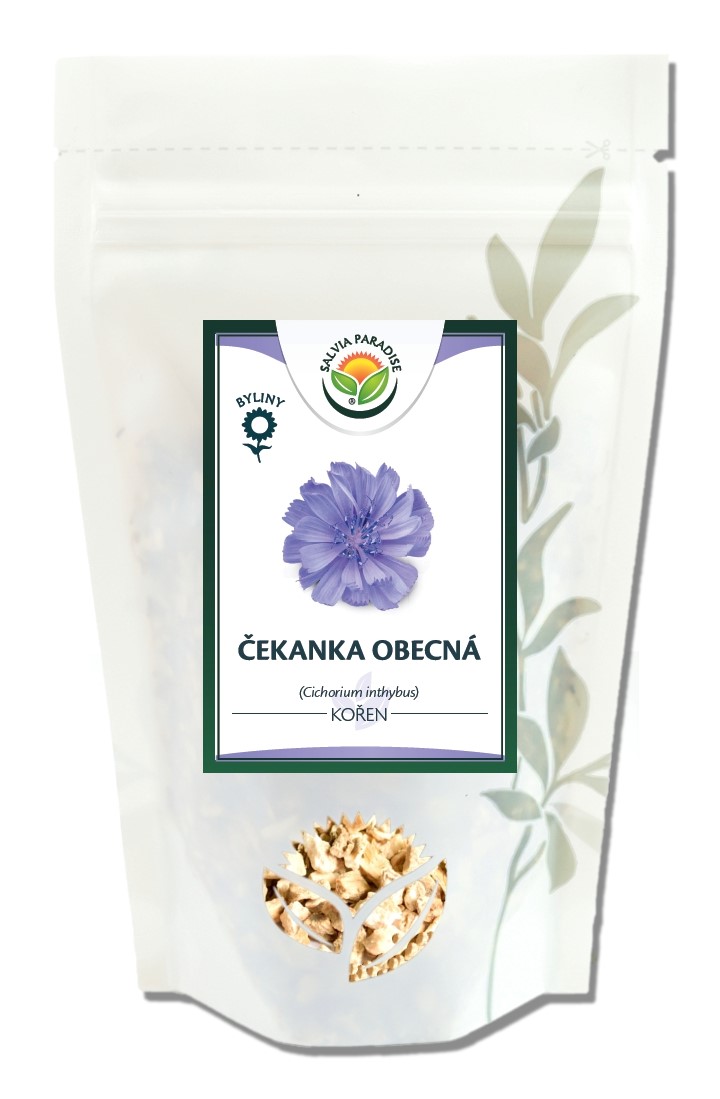 Čekanka - kořen 100g Salvia Paradise